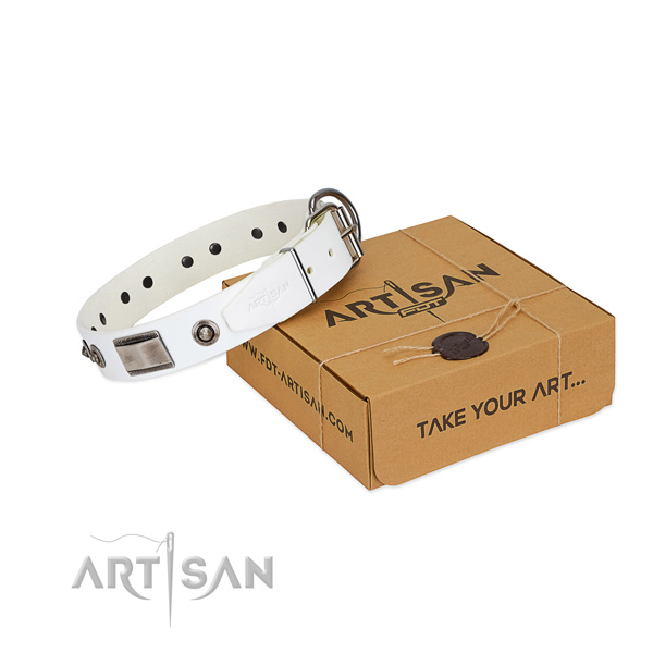 Remarkable dog collar of genuine leather with studs