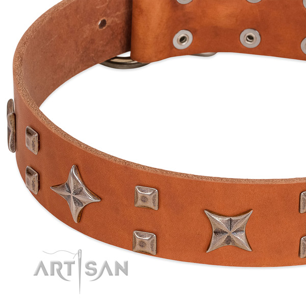 Rust resistant fittings on natural genuine leather collar for everyday walking your doggie