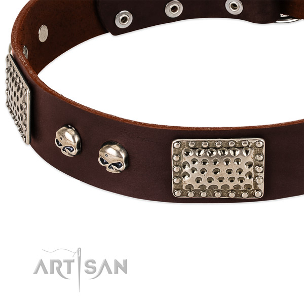 Durable fittings on full grain natural leather dog collar for your four-legged friend