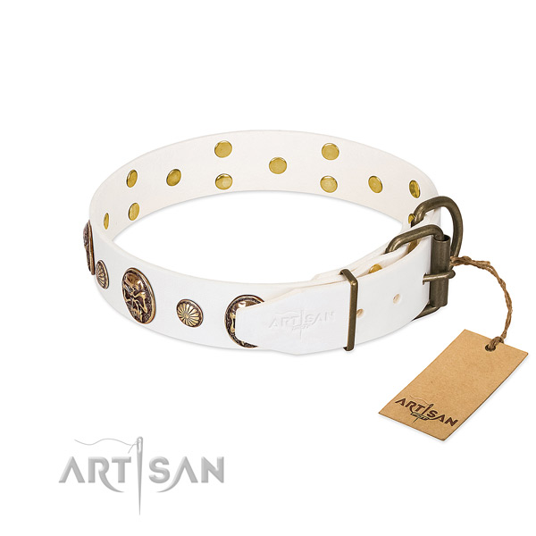 Corrosion resistant hardware on full grain genuine leather collar for basic training your four-legged friend
