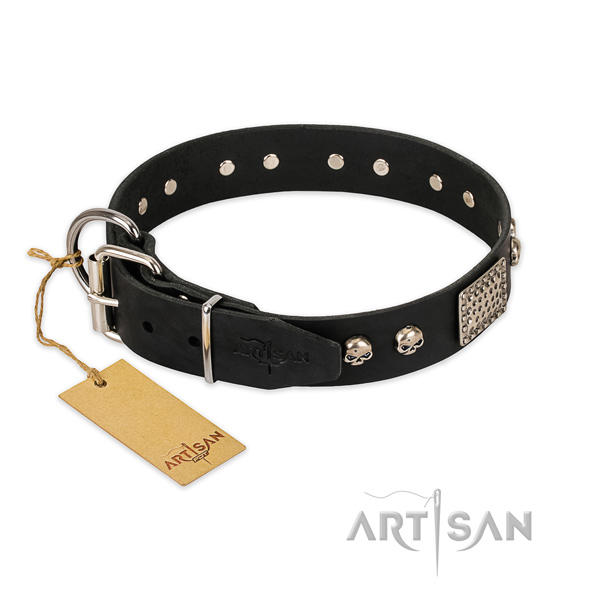 Corrosion proof embellishments on walking dog collar