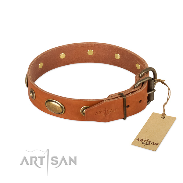 Strong buckle on natural leather dog collar for your four-legged friend