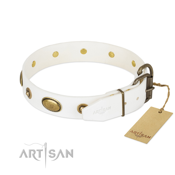 Strong decorations on leather dog collar for your four-legged friend