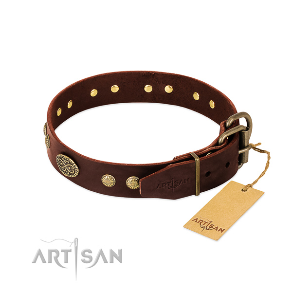 Rust resistant studs on Genuine leather dog collar for your four-legged friend