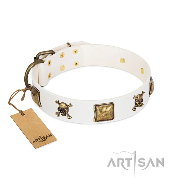 Awesome leather dog collar with corrosion resistant studs