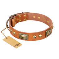"Saucy Nature" FDT Artisan Tan Leather Mastiff Collar with Old Bronze Look Plates and Skulls