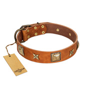 "Celtic Tunes" FDT Artisan Tan Leather Mastiff Collar Adorned with Stars and Squares