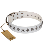 "Midnight Stars" FDT Artisan Fashionable Leather Mastiff Collar with Old Silver-like Plated Decorations "Midnight Stars" FDT Artisan Fashionable Leather Mastiff Collar with Old Silver-like Plated Decorations