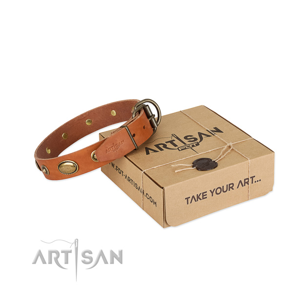 Rust-proof adornments on full grain natural leather dog collar for your dog