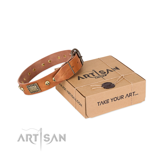 Rust-proof traditional buckle on dog collar for basic training