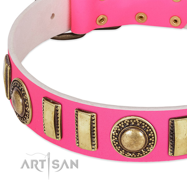 Flexible leather dog collar for your attractive pet