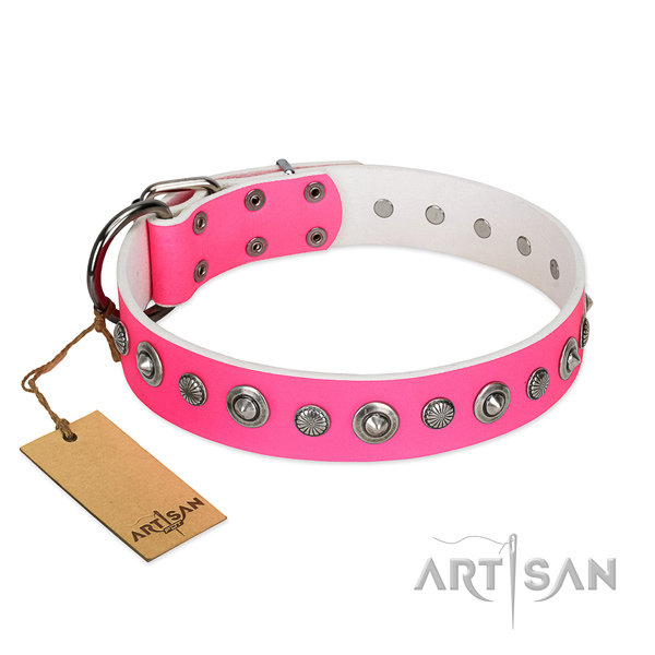 Finest quality genuine leather dog collar with incredible embellishments
