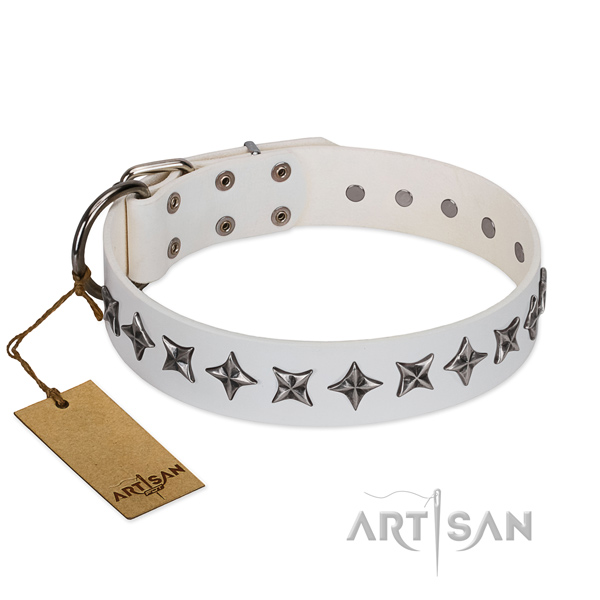 Comfortable wearing dog collar of durable natural leather with adornments