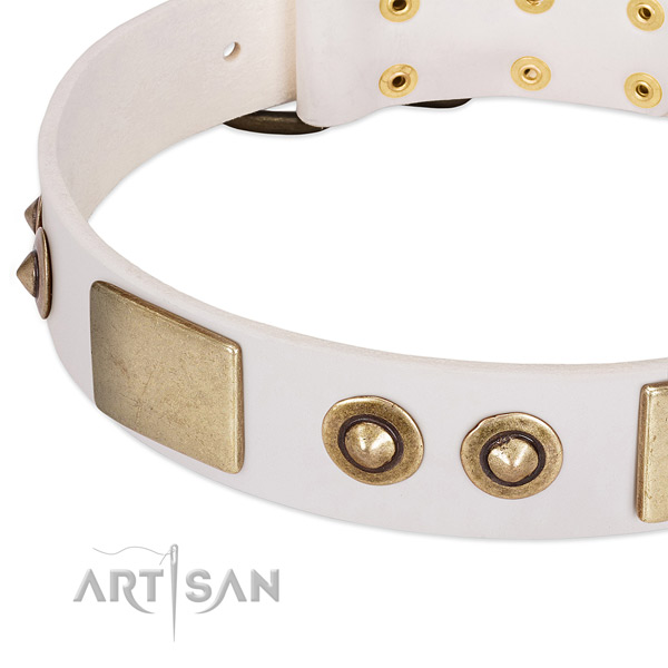 Corrosion resistant buckle on full grain genuine leather dog collar for your dog