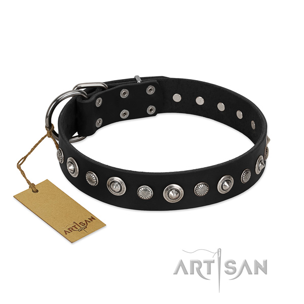 Quality full grain natural leather dog collar with trendy embellishments