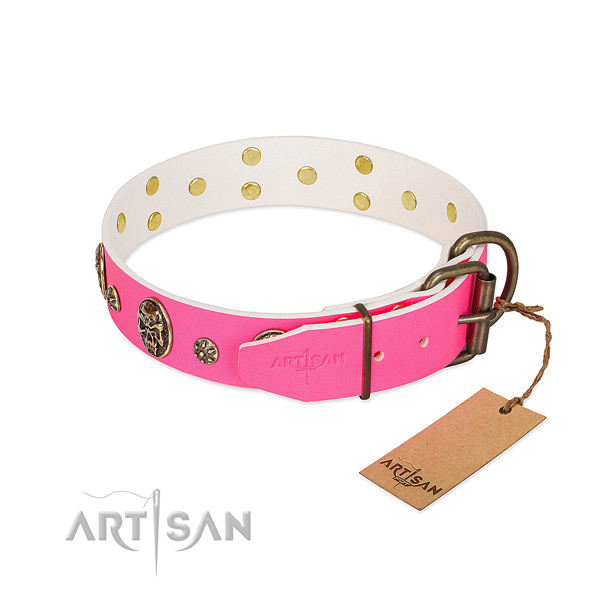 Corrosion proof traditional buckle on full grain genuine leather collar for everyday walking your pet