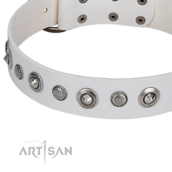 Natural leather collar with corrosion resistant D-ring for your impressive doggie
