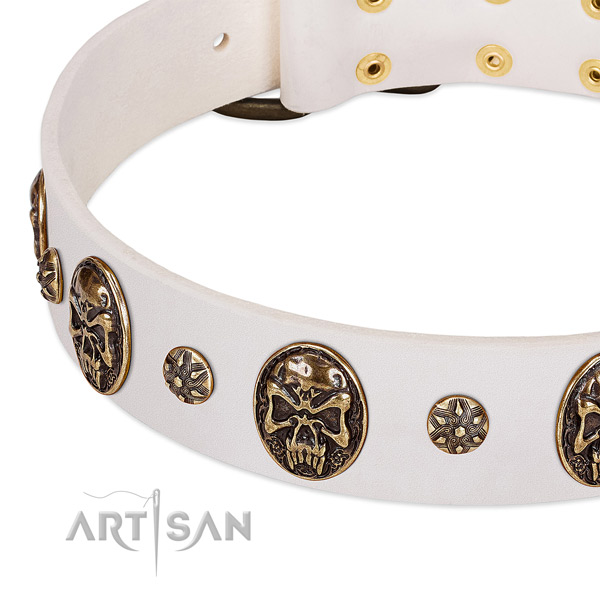 Corrosion proof buckle on natural genuine leather dog collar for your pet
