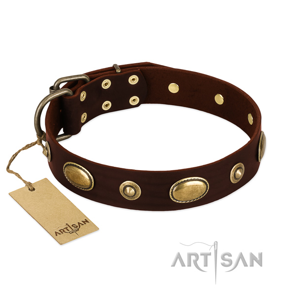 Unusual full grain leather collar for your four-legged friend