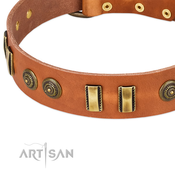 Rust-proof D-ring on full grain leather dog collar for your pet