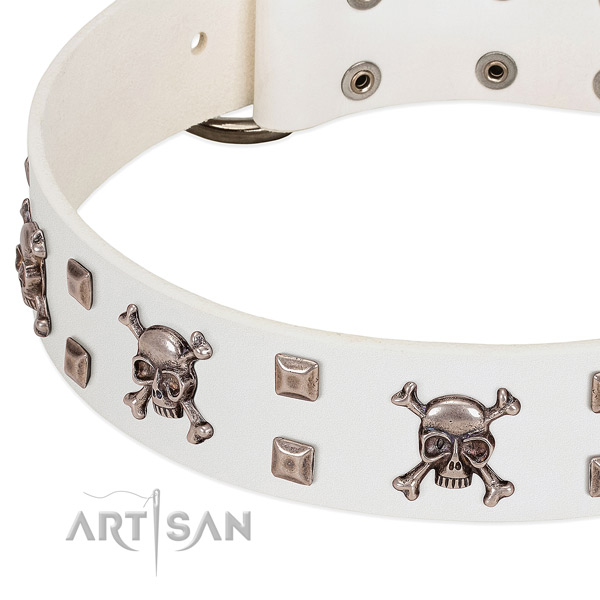 Designer leather collar for your pet