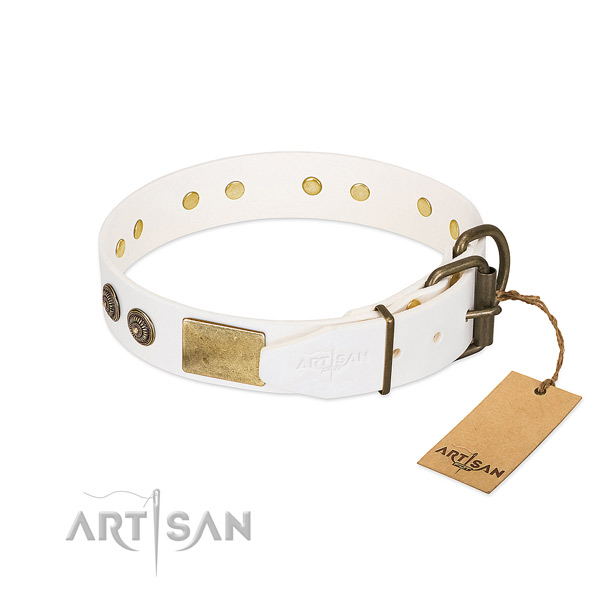 Corrosion proof hardware on full grain natural leather collar for basic training your dog