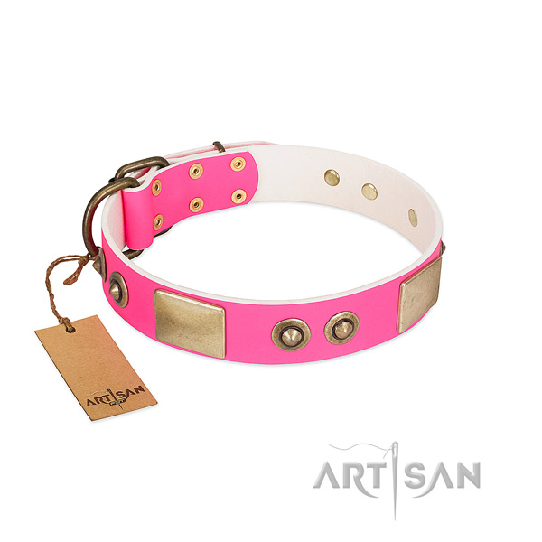 Rust resistant decorations on full grain genuine leather dog collar for your dog