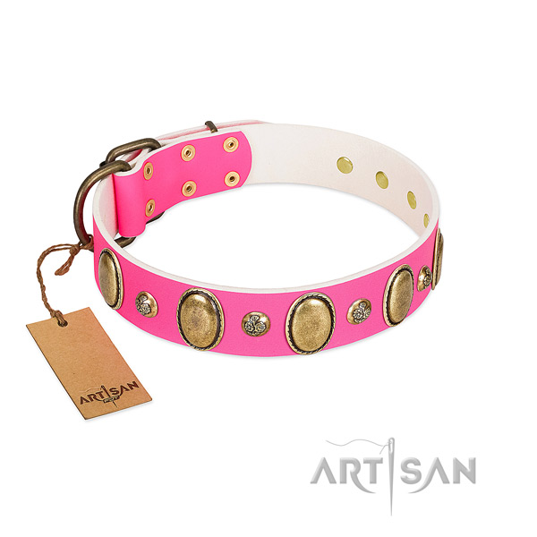 Natural leather dog collar of reliable material with fashionable adornments
