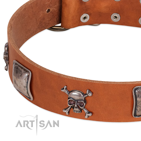 Corrosion proof traditional buckle on full grain leather dog collar