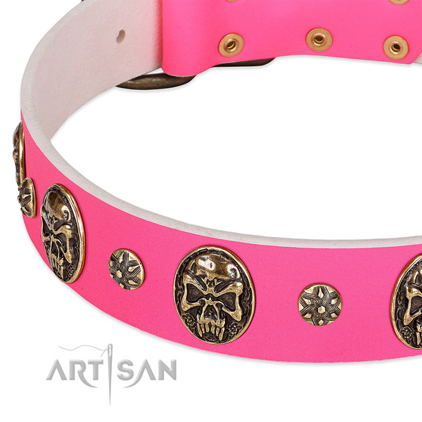 Designer dog collar made for your beautiful doggie