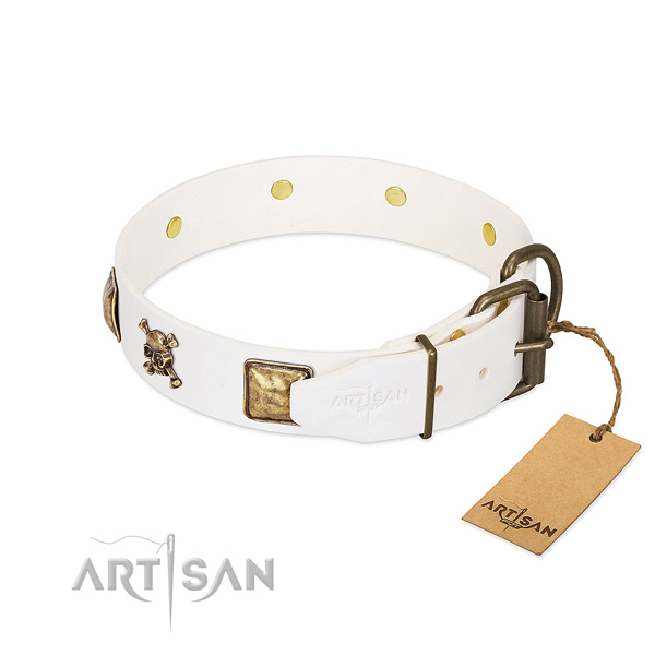 Incredible full grain natural leather dog collar with reliable embellishments
