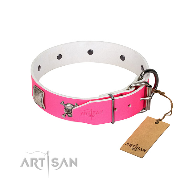 Inimitable full grain genuine leather dog collar with reliable studs