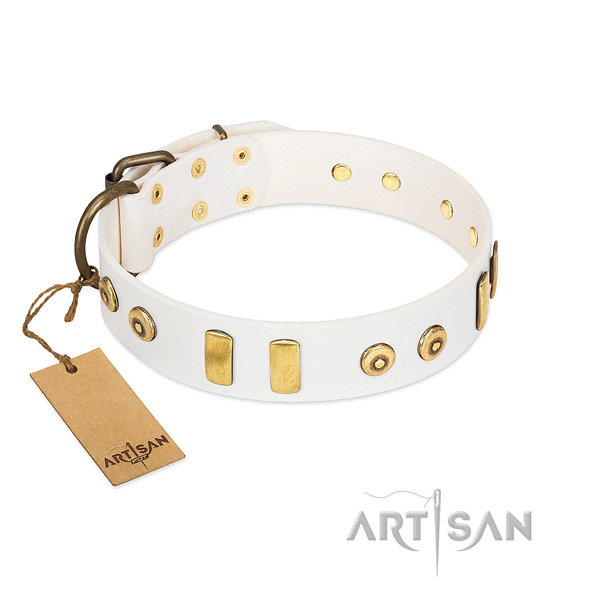 Full grain leather dog collar with unique adornments for comfortable wearing