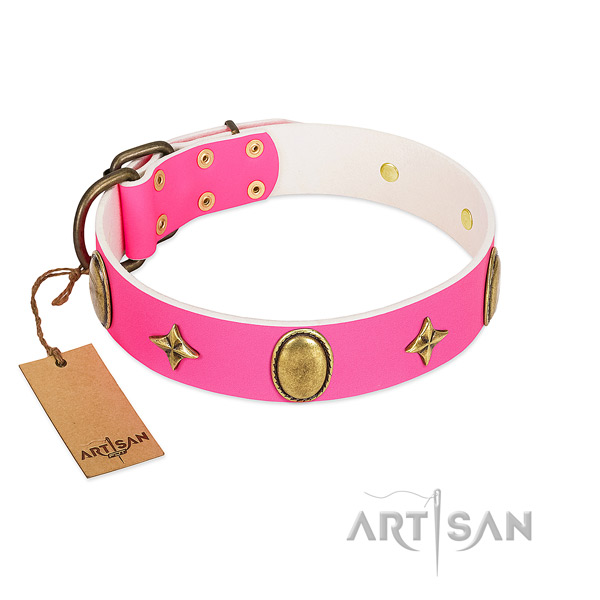 Flexible full grain genuine leather collar with amazing embellishments for your dog