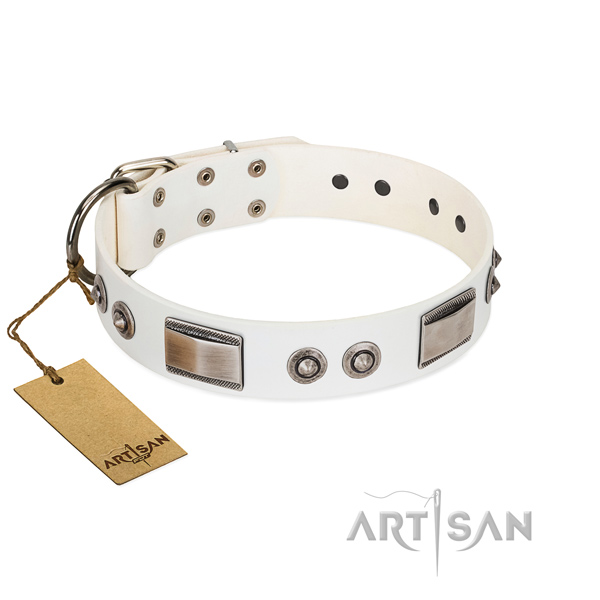 Remarkable dog collar of leather with embellishments