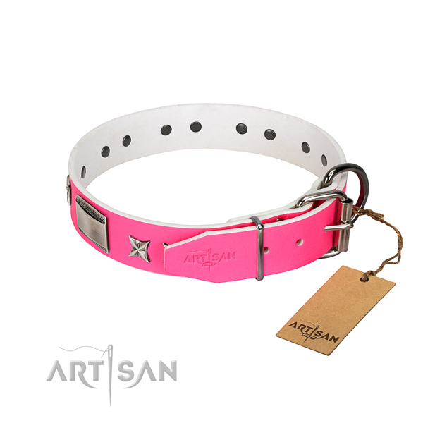 Fashionable collar of leather for your stylish doggie