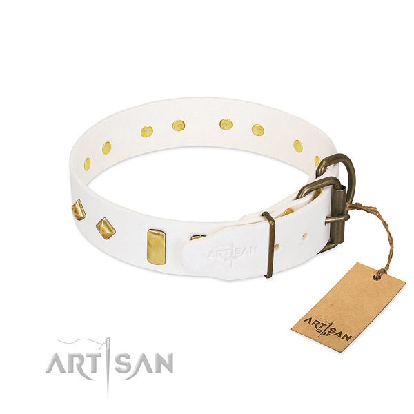 Reliable leather dog collar with rust resistant D-ring