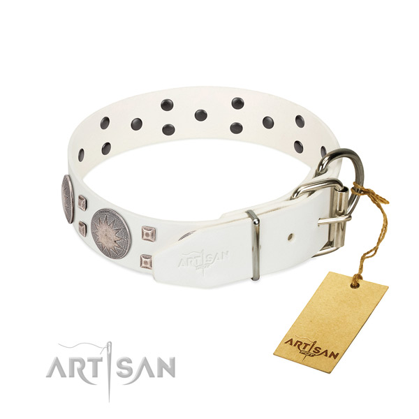 Significant adornments on leather collar for your pet