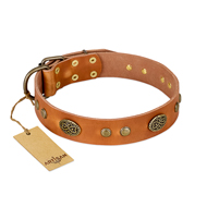 "Sun Beams" FDT Artisan Tan Leather Mastiff Collar with Decorations