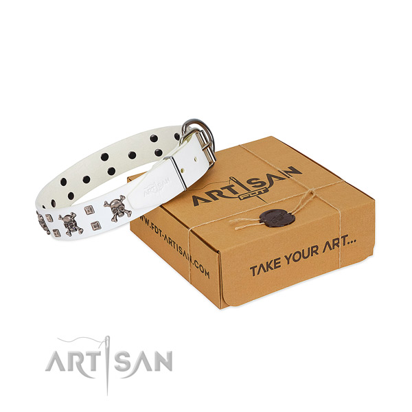 Quality full grain genuine leather dog collar with corrosion proof fittings