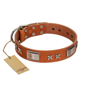 "Sweet Biscuit" FDT Artisan Tan Leather Dog Collar with Stars and Plates "Sweet Biscuit" FDT Artisan Tan Leather Dog Collar with Stars and Plates