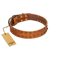 "Walk and Shine" FDT Artisan Tan Leather Mastiff Collar with Antiqued Studs "Walk and Shine" FDT Artisan Tan Leather Mastiff Collar with Antiqued Studs
