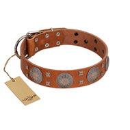 "Sun Rise Noon" FDT Artisan Tan Leather Mastiff Collar with Unique Design