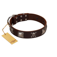 "Nut-Brown Finery" Embellished FDT Artisan Brown Leather Mastiff Collar with Chrome Plated Crossbones and Plates