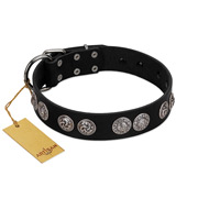 "Magic Amulete" Handcrafted FDT Artisan Black Leather Mastiff Collar with Chrome-Plated Shields