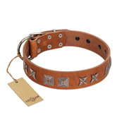 "Antique Figures" FDT Artisan Tan Leather Mastiff Collar with Silver-like Engraved Plates