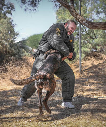 mastiff lightweight bite jackets black