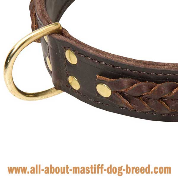 Wide Leather Cane Corso Mastiff Collar