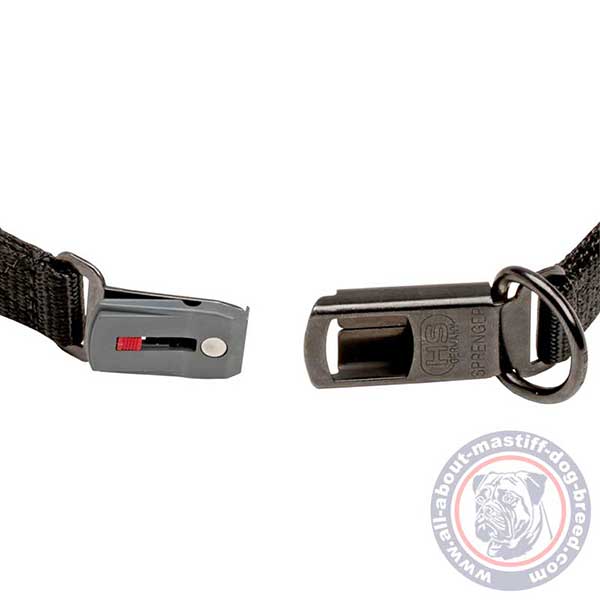 Safe in wearing pinch dog collar