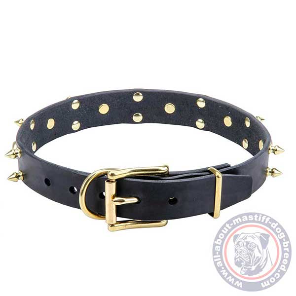Leather dog collar for walking and training
